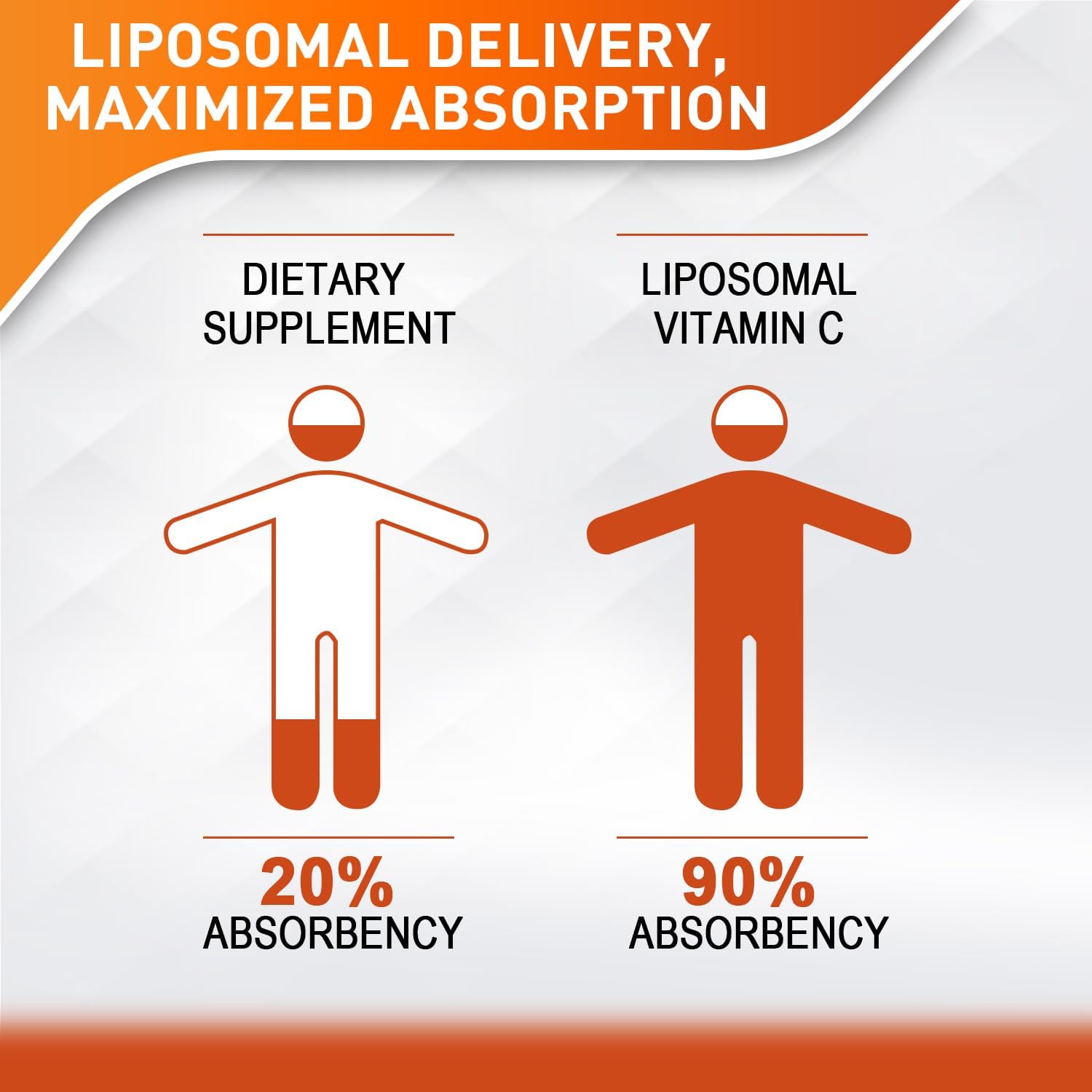 Liposomal Vitamin C Liquid 2000mg – High Absorption Immune Support